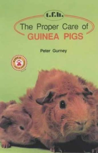 The proper care - proper, pigs