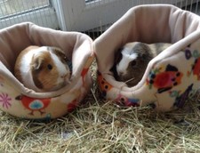 ****8 DESIGNS***10" *GUINEA