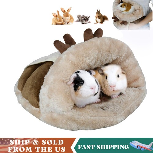 Guinea pig hideout small - pig,