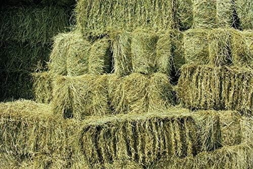 Shorefields fresh meadow hay - fresh,