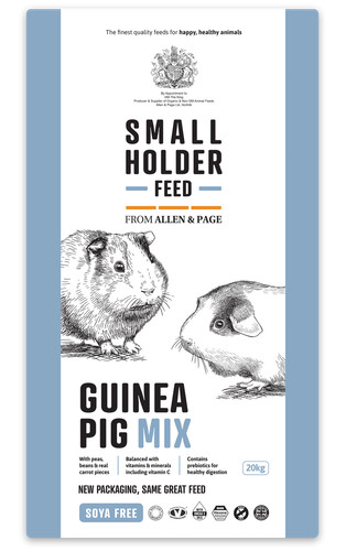 Allen page guinea - &,