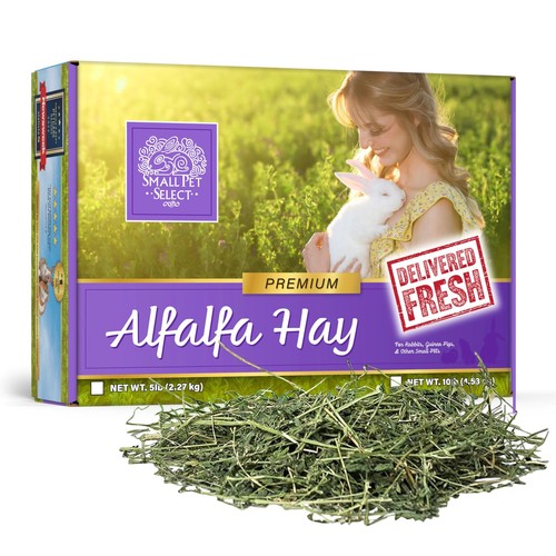 Premium alfalfa hay - alfalfa, young