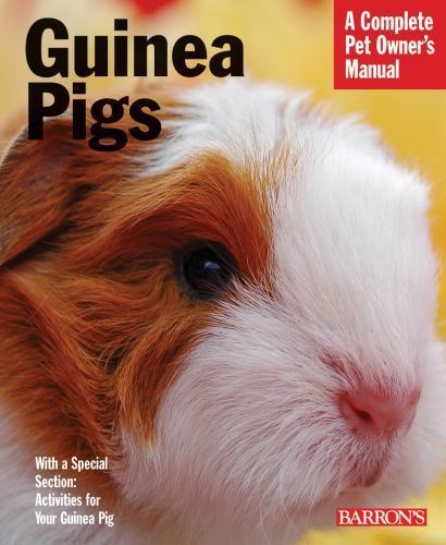 Guinea pigs complete pet - pigs;,