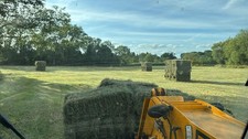 Premium meadow hay bale for