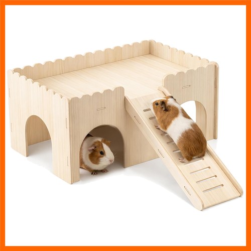 Set large guinea - 1, pig