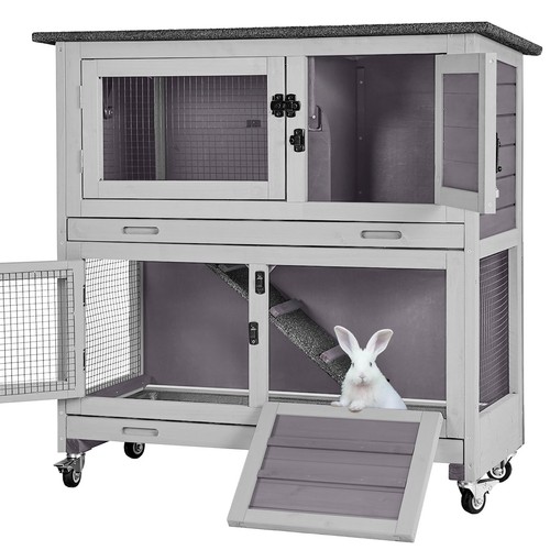 Indoor outdoor rabbit - indoor,