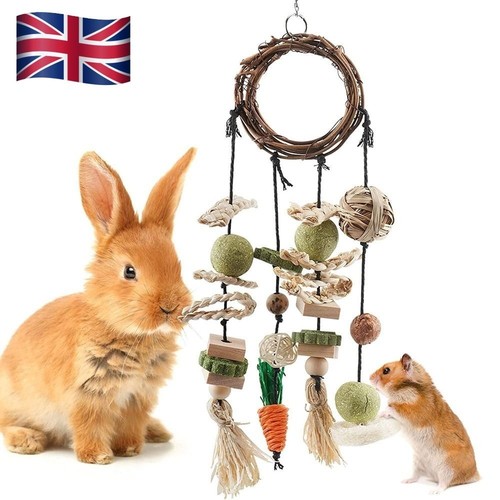 Rabbit treats rabbits cage - treats,