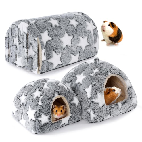 Mabozoo pack guinea pig - mabozoo,