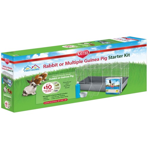 Kaytee first home rabbit - my,