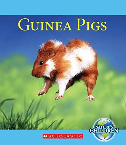Guinea pigs natures children - (natures,