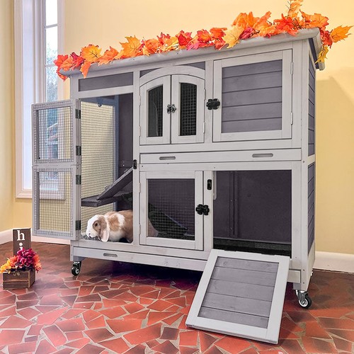 Rabbit hutch indoor outdoor - rabbit,
