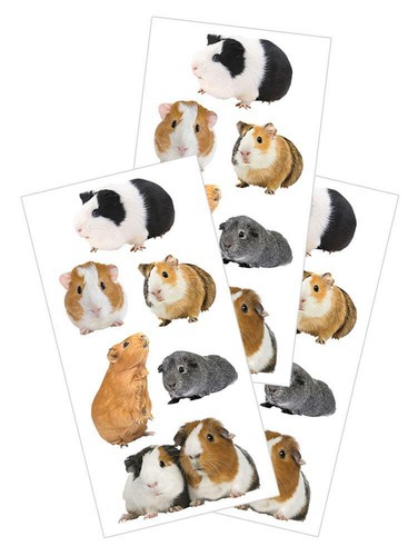 Guinea pigs stickers - pigs, planner