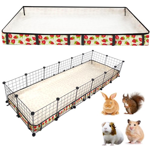 Jogepeyo guinea pig - jogepeyo,