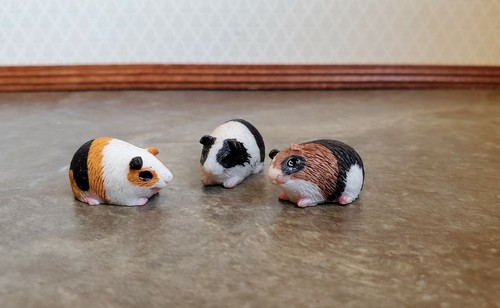 Dollhouse miniature guinea - dollhouse,