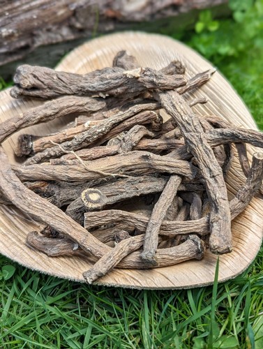 Dandelion root nibbles - dandelion,