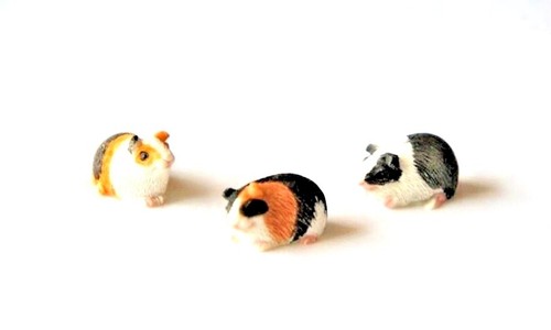 Fairy garden animals guinea - garden,