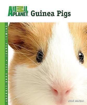 Guinea pigs animal planet pet - pigs;,