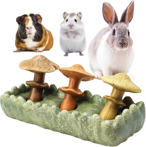 Guinea pig chew toys prevent - guinea,