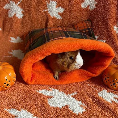 Handmade fall snuggle - snuggle, sack