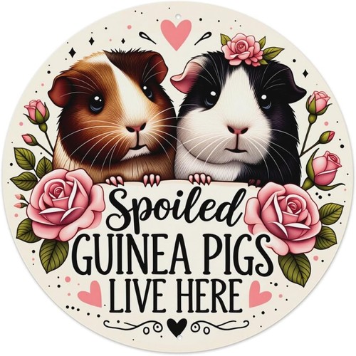 Guinea pigs roses hearts - roses, text