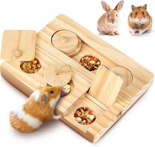 Guinea pig foraging toys - foraging, toys,