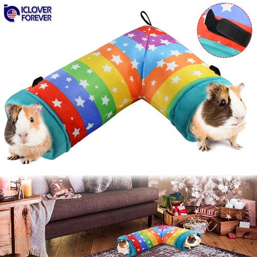 Guinea pig hideout corner - guinea,