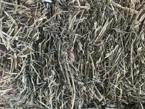 Farm fresh hay - farm, hay!