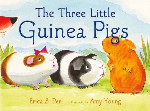 The three little guinea - three,