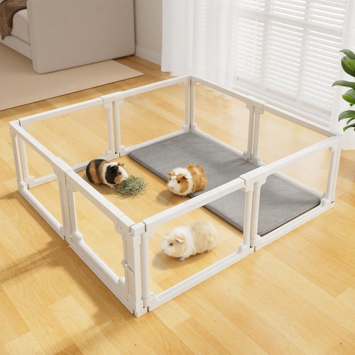 Acrylic guinea pig cages for - pig,