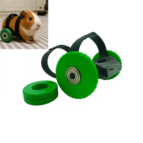 Small pet mobility aid - pet,