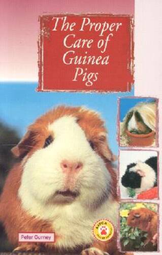 The proper care guinea - the,