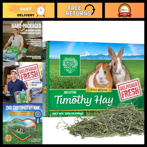 Premium timothy hay for - premium, small