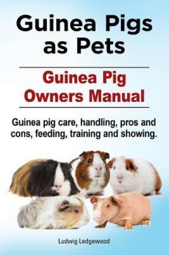 Guinea pigs pets - as,