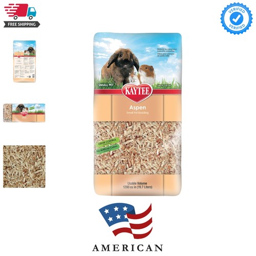 Aspen small animal - animal, pet