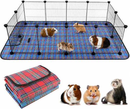 Large guinea pig - guinea, habitat
