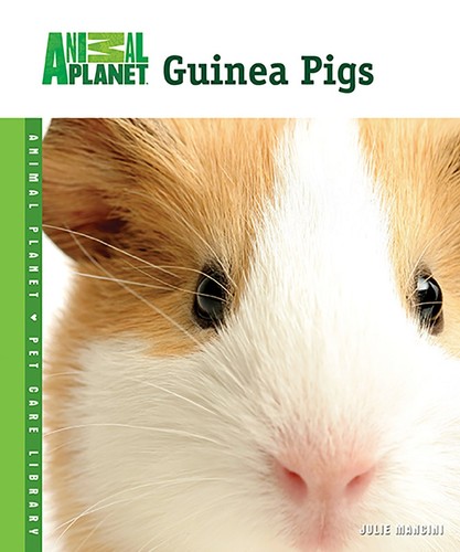 Guinea pigs animal planet - (animal,