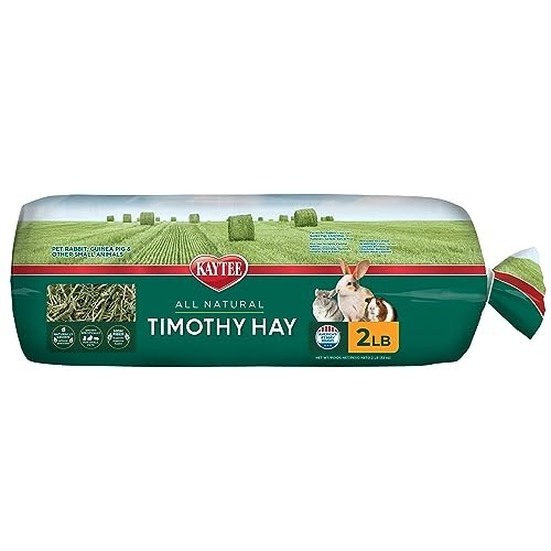 Timothy hay for rabbits - for,