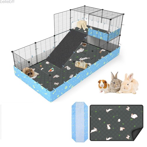 Guinea pig small animal - guinea,