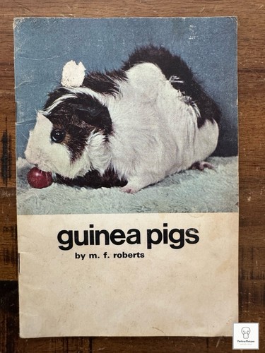 Guinea pigs mervin f - -,
