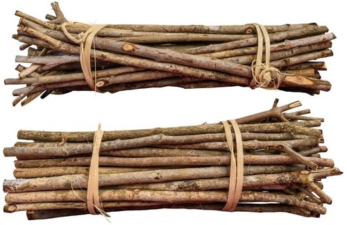 Willow mega munch sticks - sticks, for