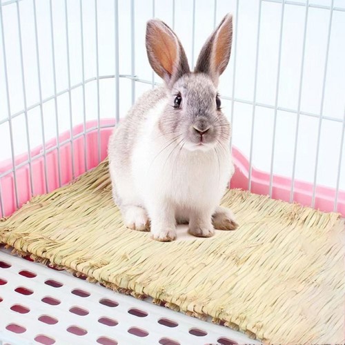 Pet rabbit grass mat guinea - rabbit,