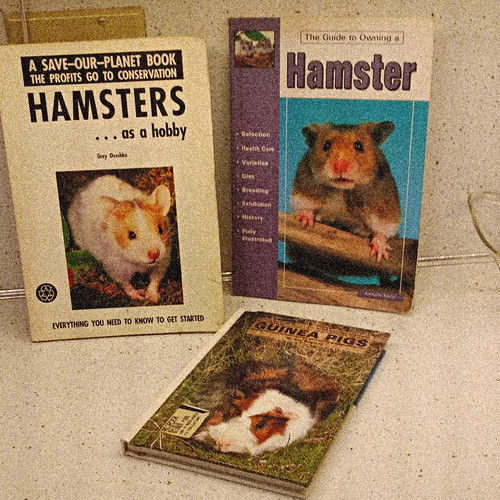 Vintage small pet book lot - small,