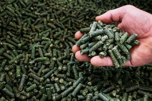 Grain alfalfa pellets - cz,
