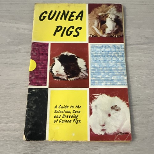 Vintage 1950s guinea - vintage,