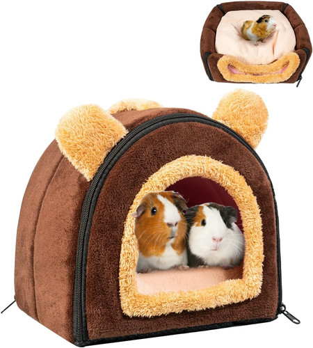 Guinea pig rabbit - guinea,