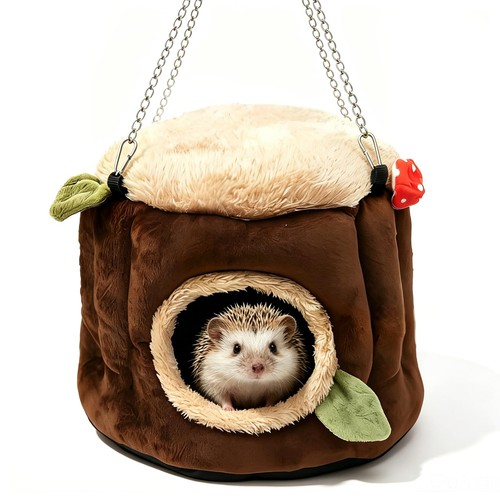 Eaedmy guinea pig hamster - pig,