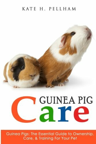 Guinea pigs the essential - the,
