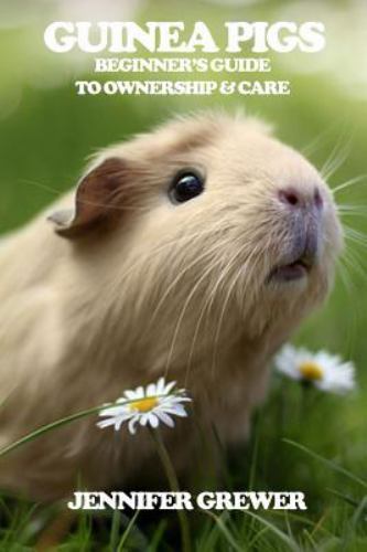 Guinea pigs beginner guide - guinea, pigs:
