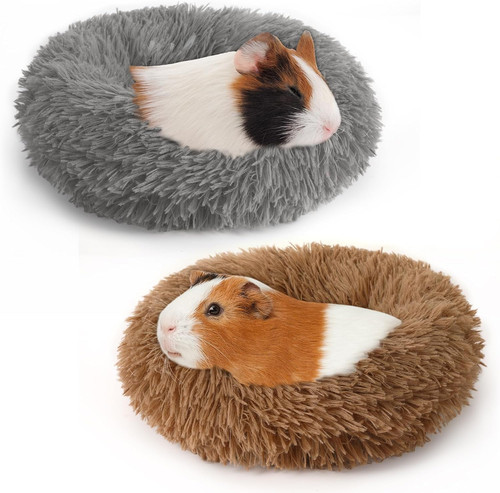 Pack winter guinea pig - winter,