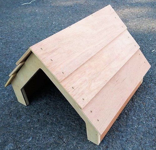 Animal shelter tortoise - shelter,